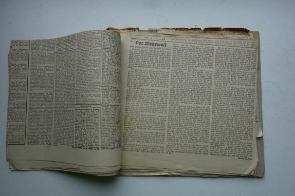 der wehrwolf book from 1910