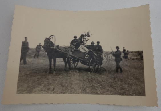 waffen ss photo in top condition