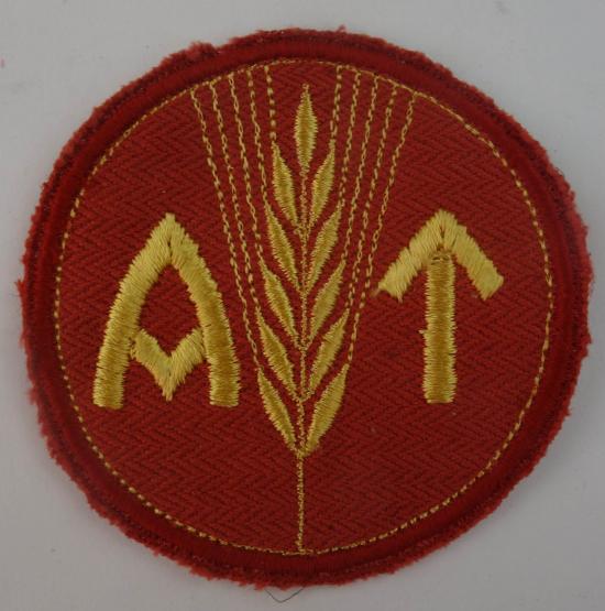ww2 norwegian reichsarbeitsdienst for a woman insignia